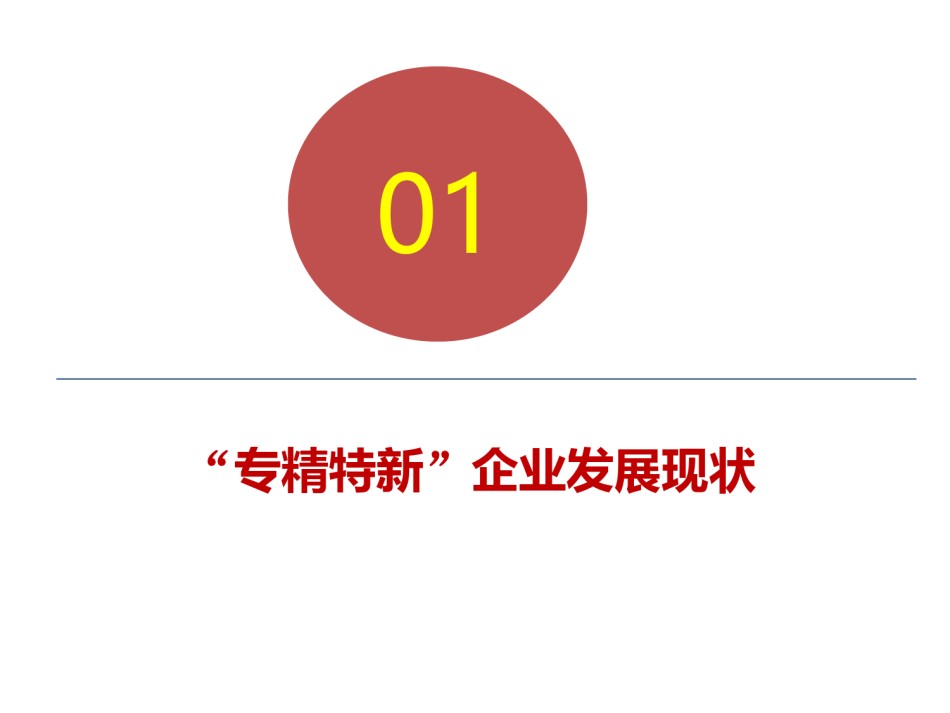 9月1日商业银行”专精特新“企业的授信审批与风险管理(1).pdf_第3页