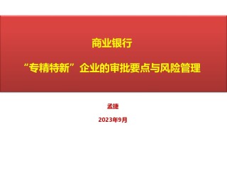 9月1日商业银行”专精特新“企业的授信审批与风险管理(1).pdf