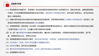 内部审计实务分享