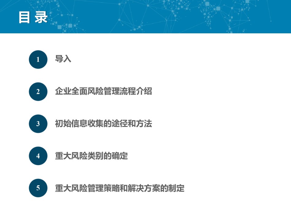 全面风险管理落地实施手册(110页).pdf_第2页