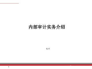 内部审计实务分享.ppt