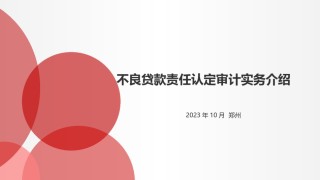 课件-不良贷款责任认定审计-(定稿有注解).ppt