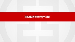 同业业务风险审计.ppt