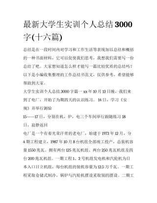 最新大学生实训个人总结3000字(十六篇)