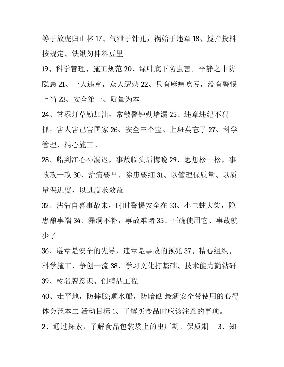 安全带使用的心得体会范本 关于安全帽安全带的心得体会(2篇)_第2页