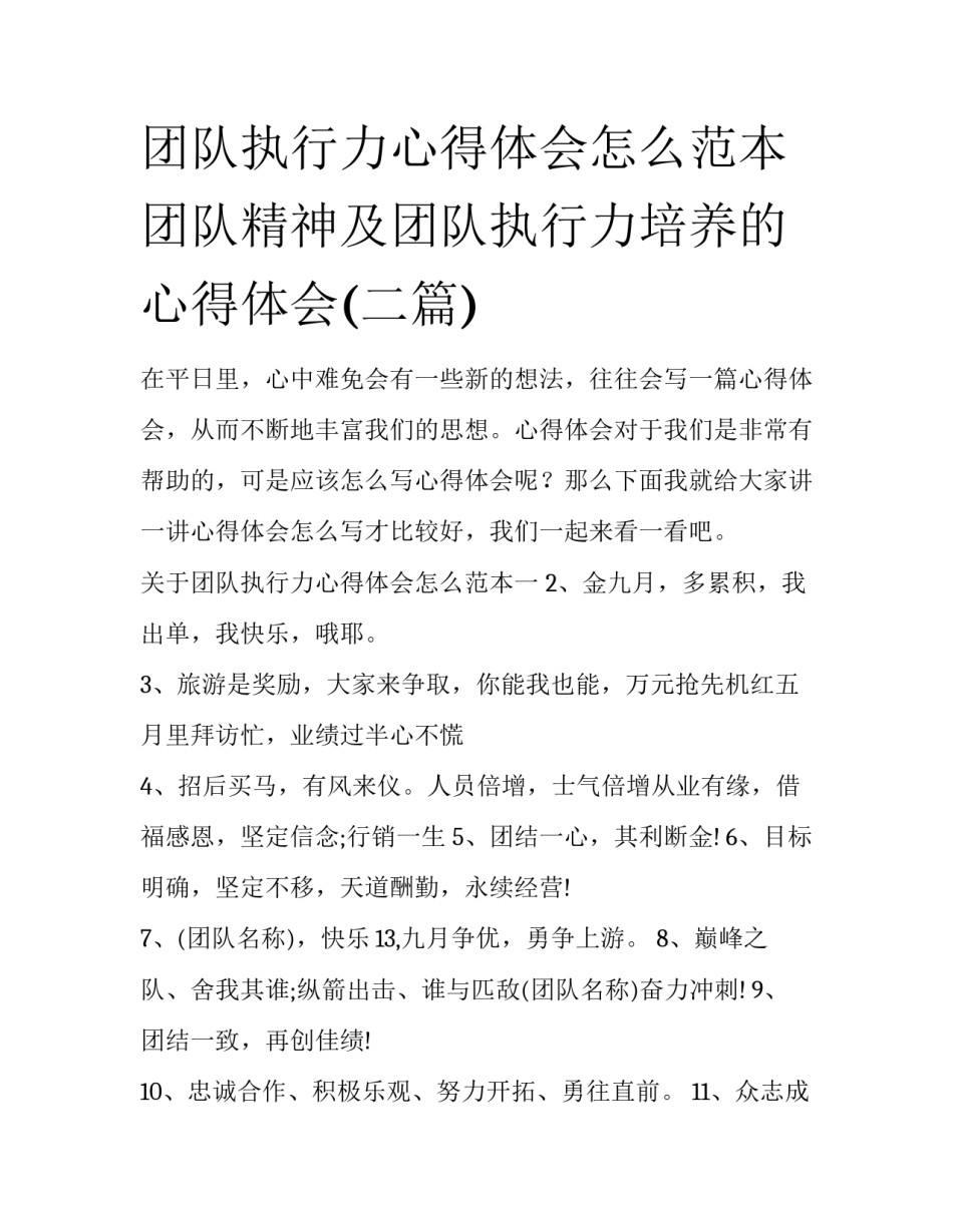团队执行力心得体会怎么范本 团队精神及团队执行力培养的心得体会(二篇)_第1页