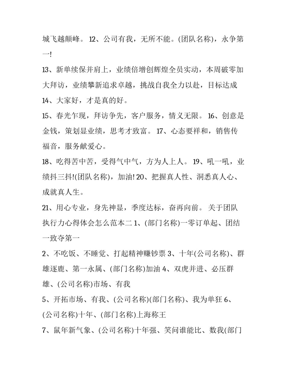 团队执行力心得体会怎么范本 团队精神及团队执行力培养的心得体会(二篇)_第2页