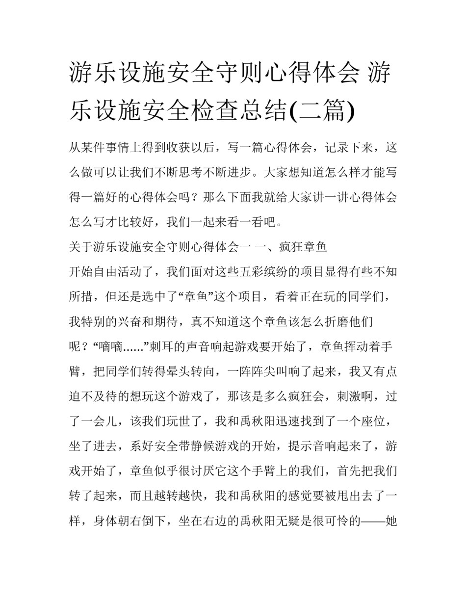游乐设施安全守则心得体会 游乐设施安全检查总结(二篇)_第1页