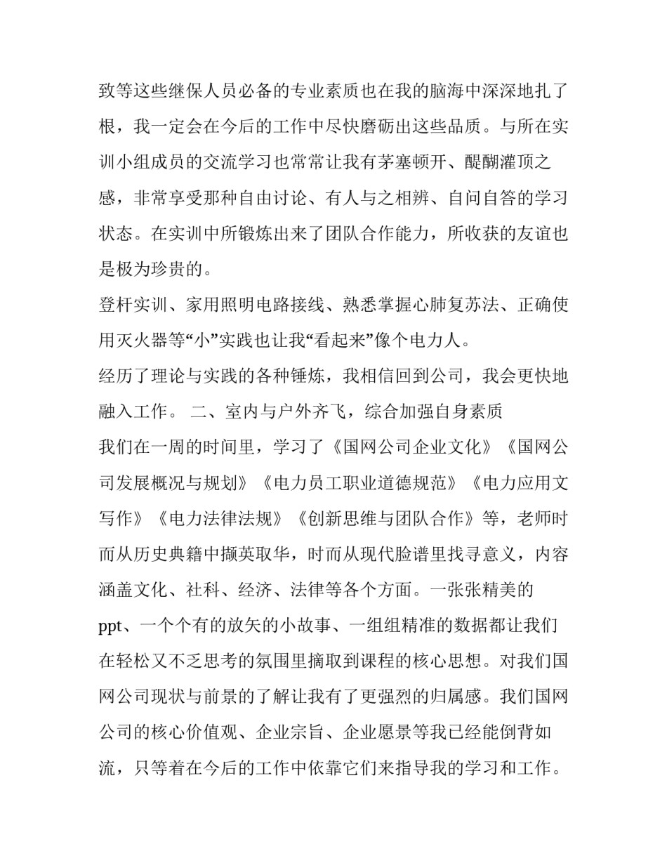 国网简历技巧范文如何写 国网简历填写(2篇)_第3页