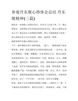 参观丹东舰心得体会总结 丹东舰精神(三篇)