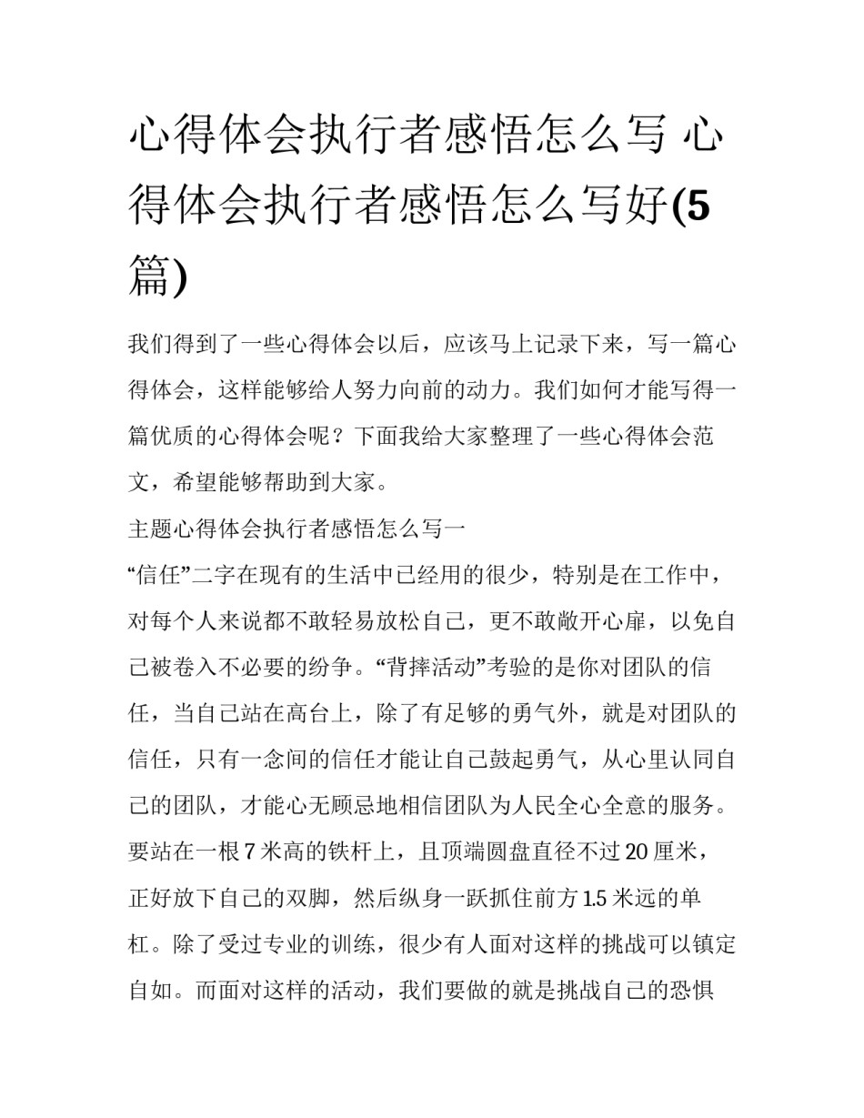心得体会执行者感悟怎么写 心得体会执行者感悟怎么写好(5篇)_第1页