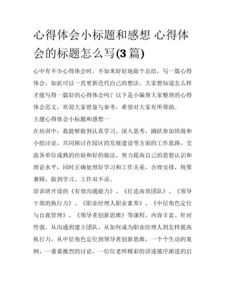 心得体会小标题和感想 心得体会的标题怎么写(3篇)