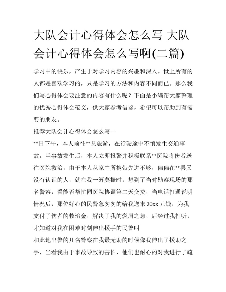 大队会计心得体会怎么写 大队会计心得体会怎么写啊(二篇)_第1页