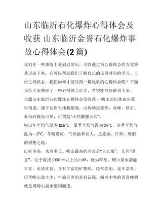 山东临沂石化爆炸心得体会及收获 山东临沂金誉石化爆炸事故心得体会(2篇)