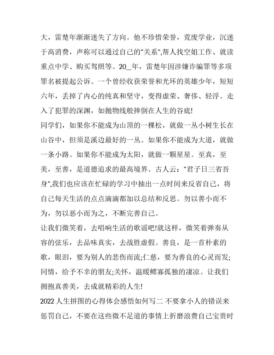 人生拼图的心得体会感悟如何写 拼完拼图后的心情(7篇)_第3页