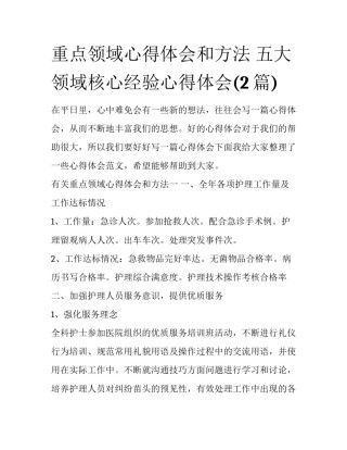 重点领域心得体会和方法 五大领域核心经验心得体会(2篇)