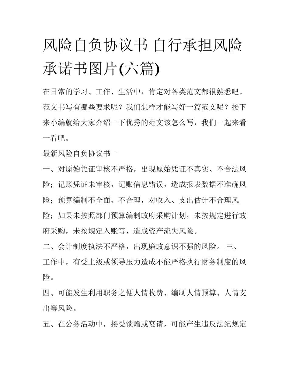 风险自负协议书 自行承担风险承诺书图片(六篇)_第1页