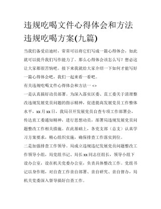 违规吃喝文件心得体会和方法 违规吃喝方案(九篇)
