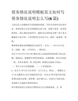 债务情况说明模板范文如何写 债务情况说明怎么写(6篇)