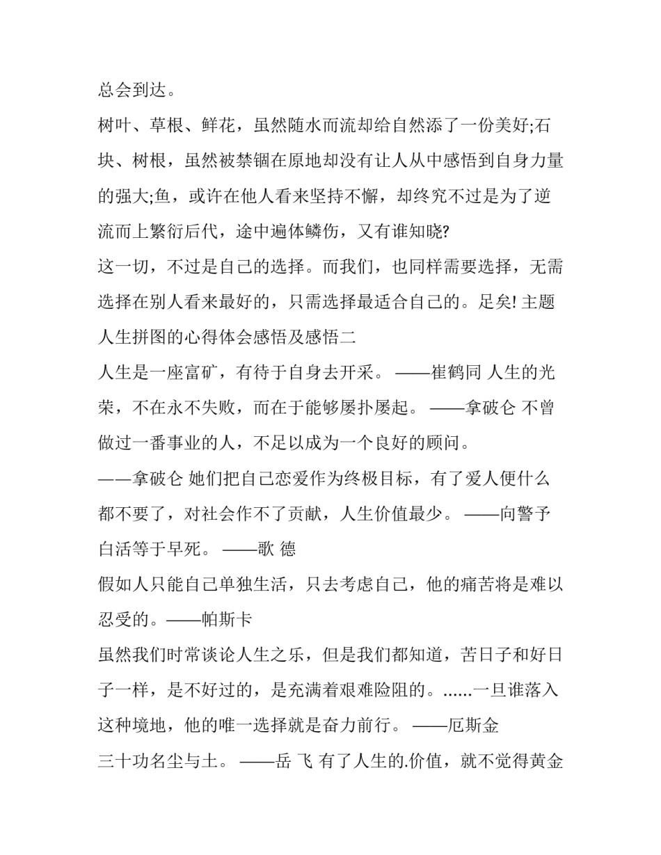 人生拼图的心得体会感悟及感悟 拼图的感受和收获(7篇)_第3页