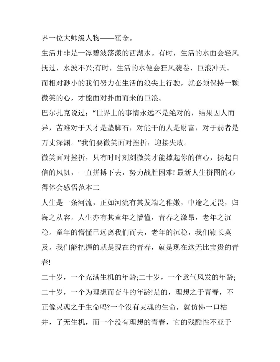 人生拼图的心得体会感悟范本 拼完拼图的感想(七篇)_第2页