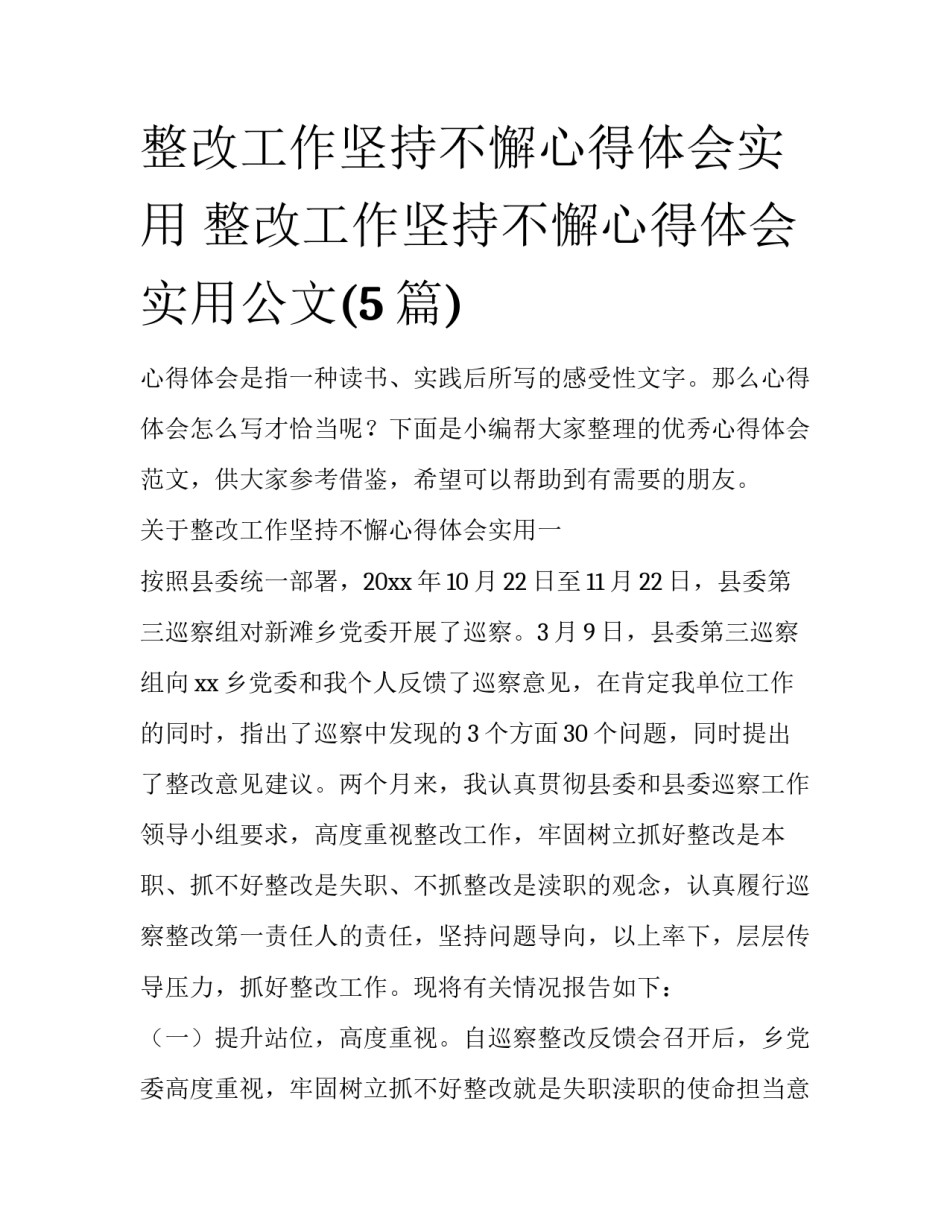 整改工作坚持不懈心得体会实用 整改工作坚持不懈心得体会实用公文(5篇)_第1页