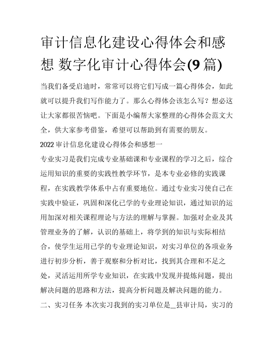 审计信息化建设心得体会和感想 数字化审计心得体会(9篇)_第1页