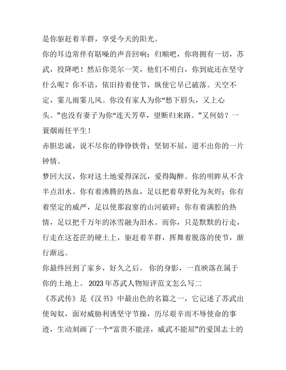苏武人物短评范文怎么写 苏武传中对苏武的评价300字(二篇)_第2页