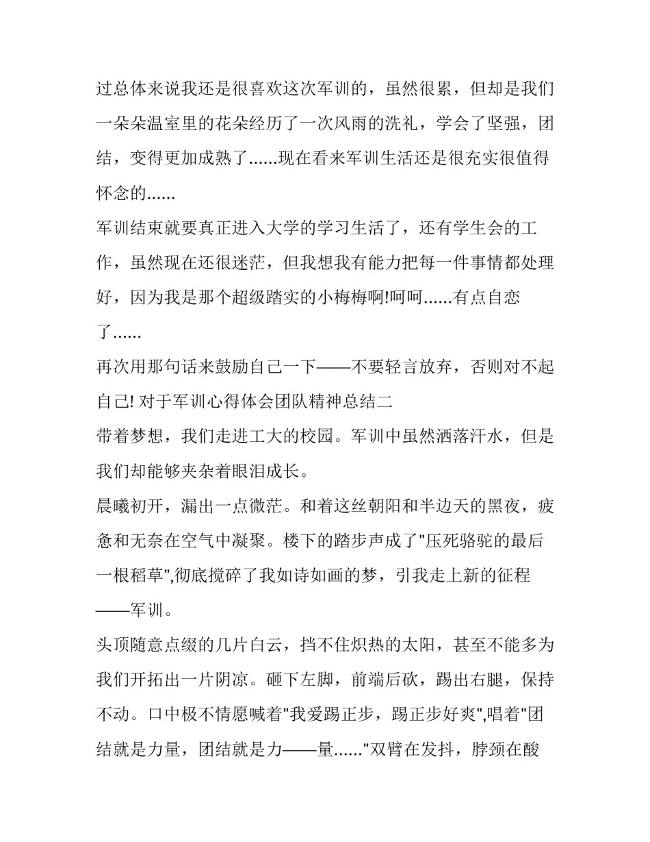 军训心得体会团队精神总结 军训团队意识和团队精神的心得体会(8篇)_第3页