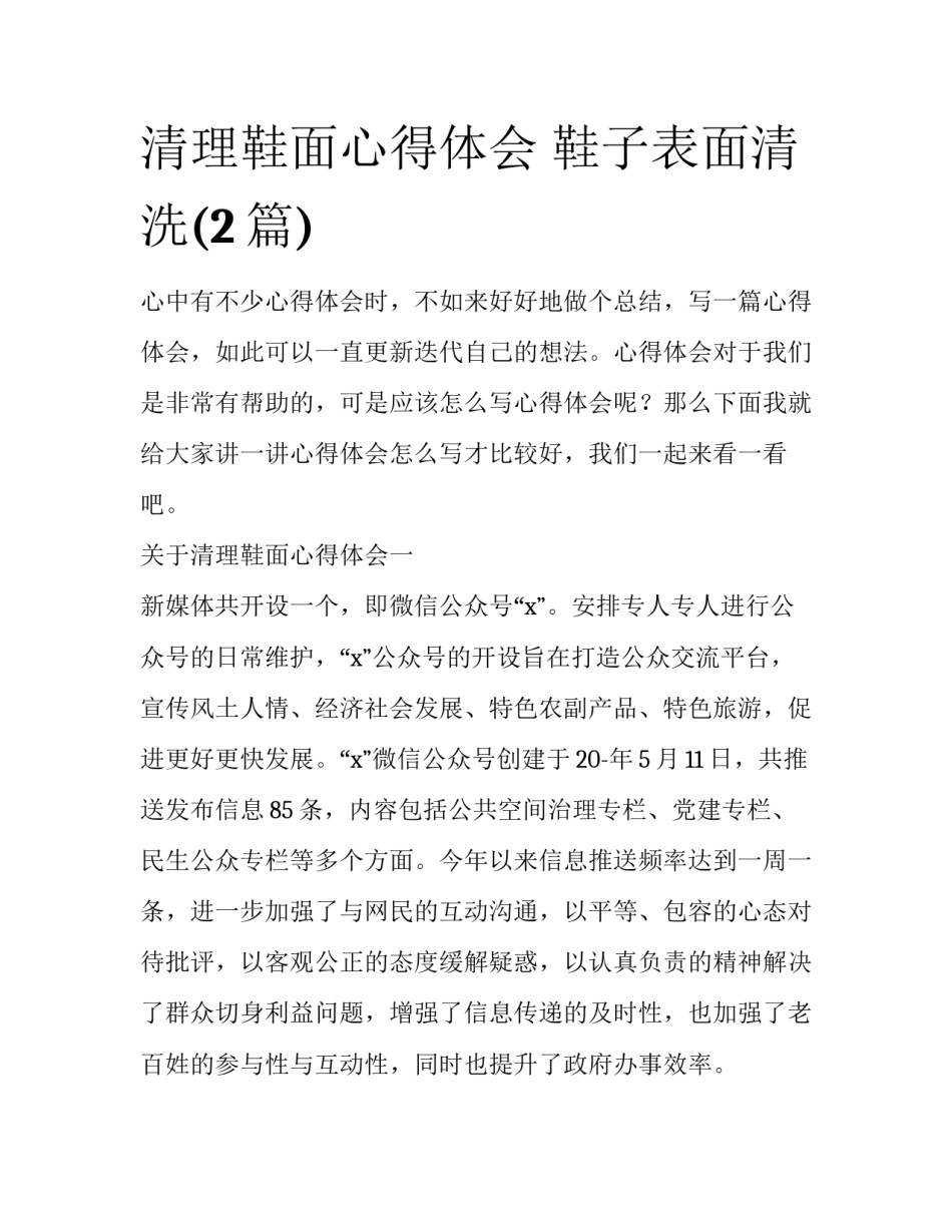 清理鞋面心得体会 鞋子表面清洗(2篇)_第1页