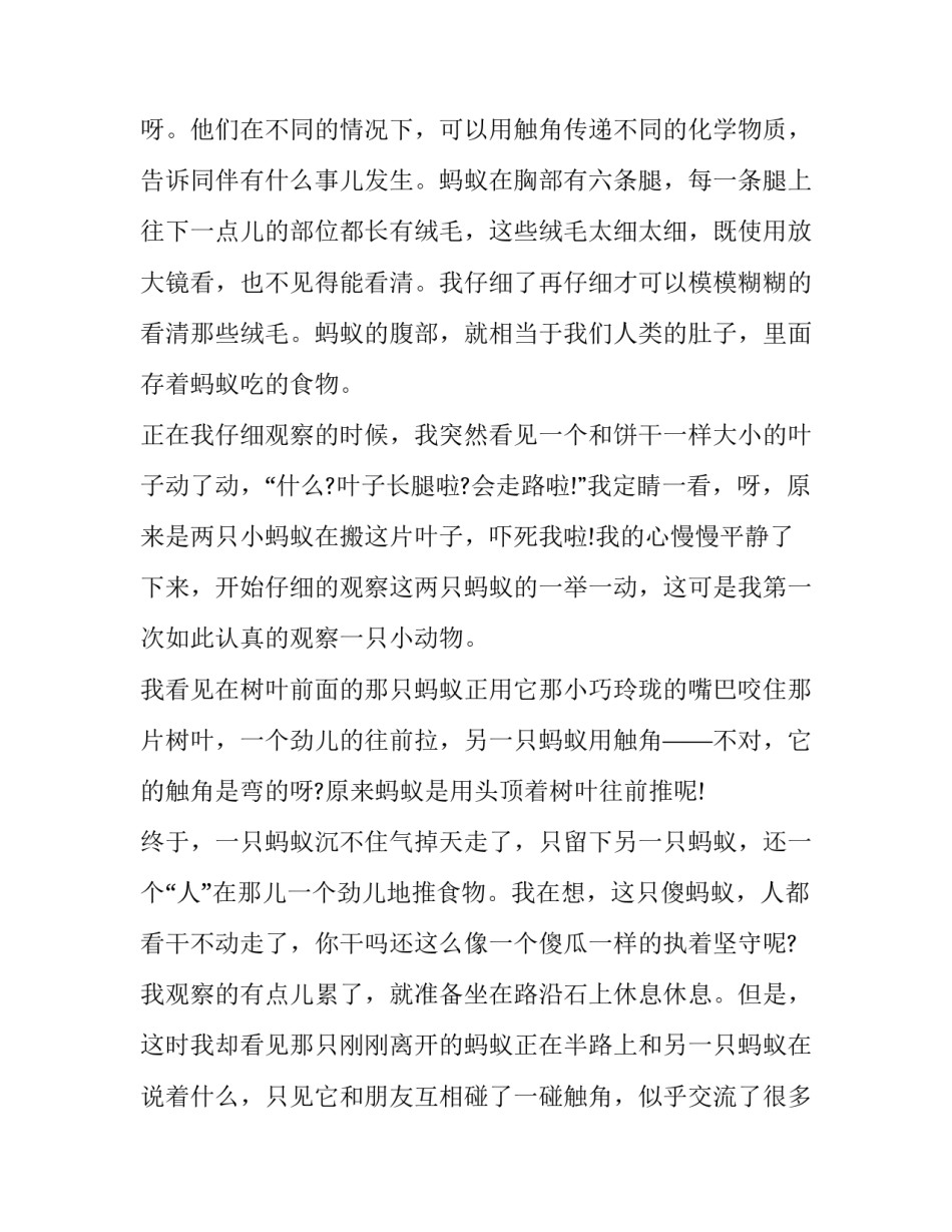 观察艺术心得体会范文 观察的艺术心得(6篇)_第3页