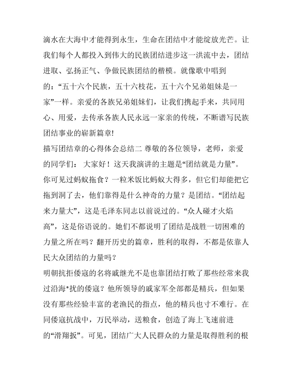 描写团结章的心得体会总结(2篇)_第3页