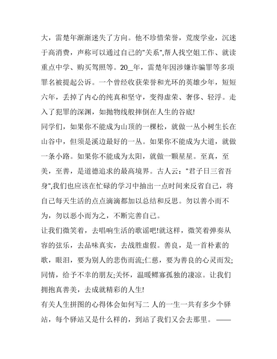 人生拼图的心得体会如何写 拼图后的感想句子(九篇)_第3页