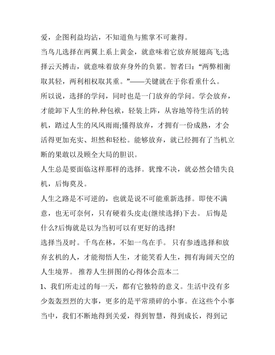 人生拼图的心得体会范本 拼图人生启示(六篇)_第2页