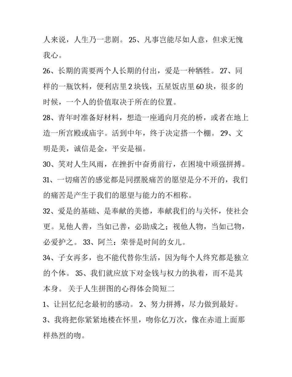 人生拼图的心得体会简短 拼图的感悟人生意义(6篇)_第3页