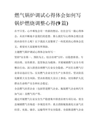 燃气锅炉调试心得体会如何写 锅炉燃烧调整心得(9篇)