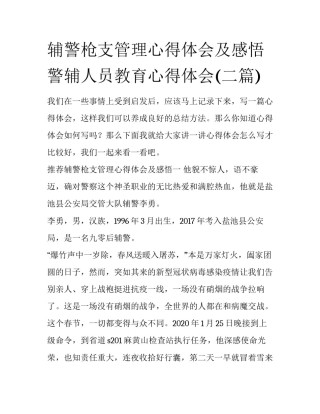 辅警枪支管理心得体会及感悟 警辅人员教育心得体会(二篇)