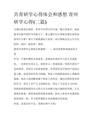 共青研学心得体会和感想 青州研学心得(二篇)
