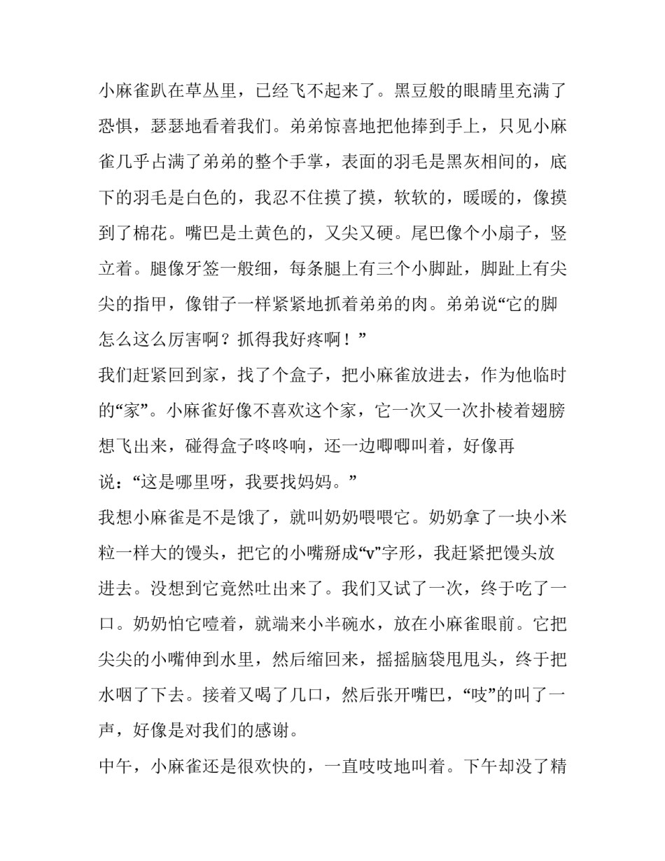 麻雀学艺心得体会怎么写 学麻雀后有感(八篇)_第2页