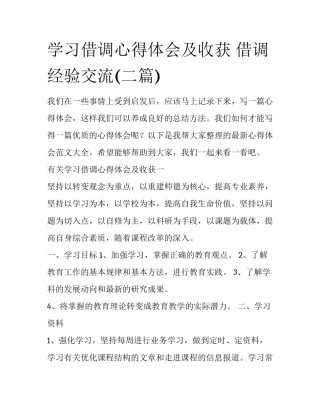 学习借调心得体会及收获 借调经验交流(二篇)