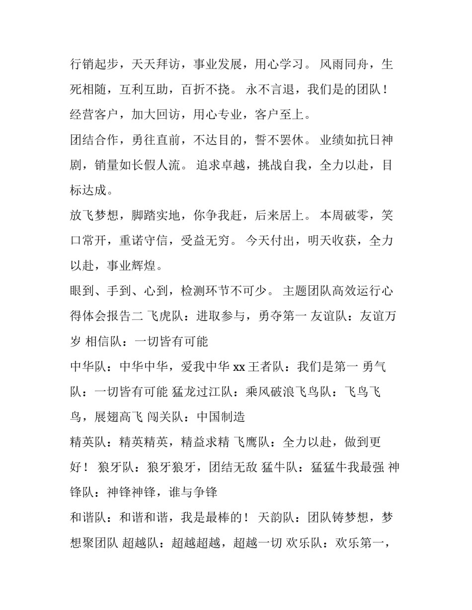 团队高效运行心得体会报告 打造高效率团队心得报告(四篇)_第2页