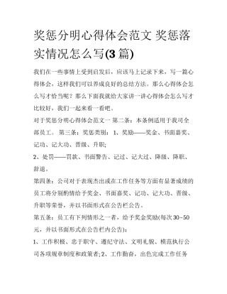 奖惩分明心得体会范文 奖惩落实情况怎么写(3篇)