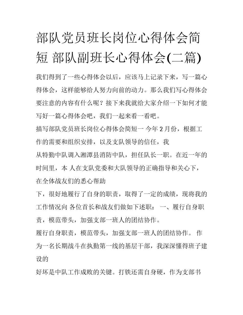 部队党员班长岗位心得体会简短 部队副班长心得体会(二篇)_第1页