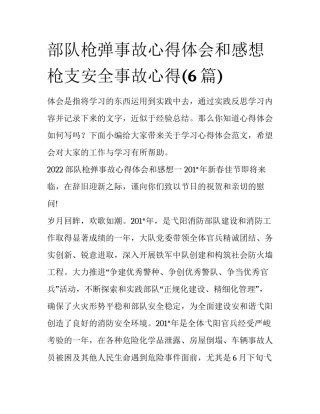 部队枪弹事故心得体会和感想 枪支安全事故心得(6篇)