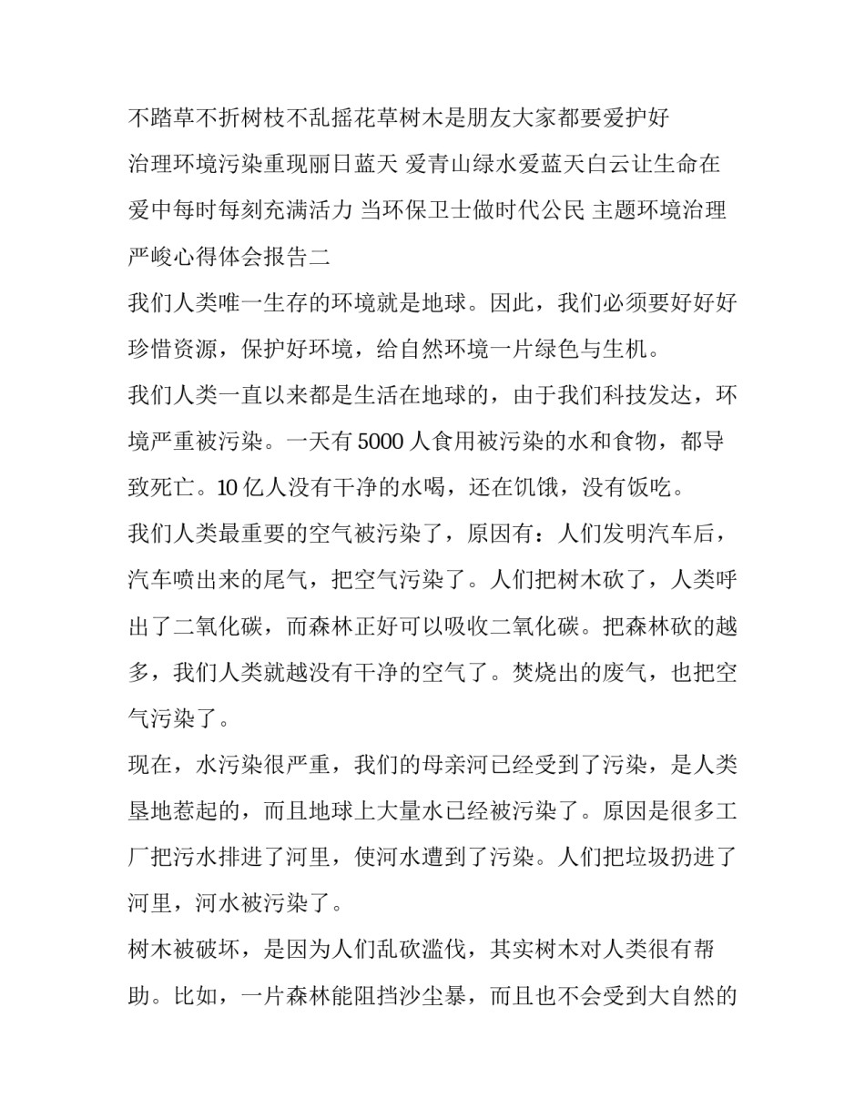 环境治理严峻心得体会报告 关于环境治理的心得体会(二篇)_第2页