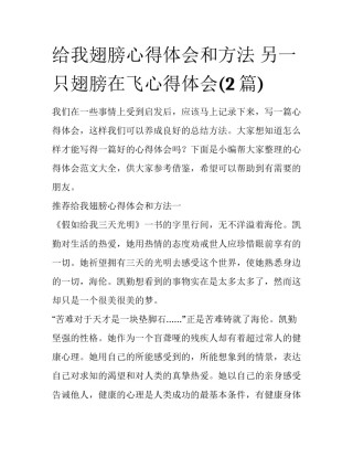 给我翅膀心得体会和方法 另一只翅膀在飞心得体会(2篇)