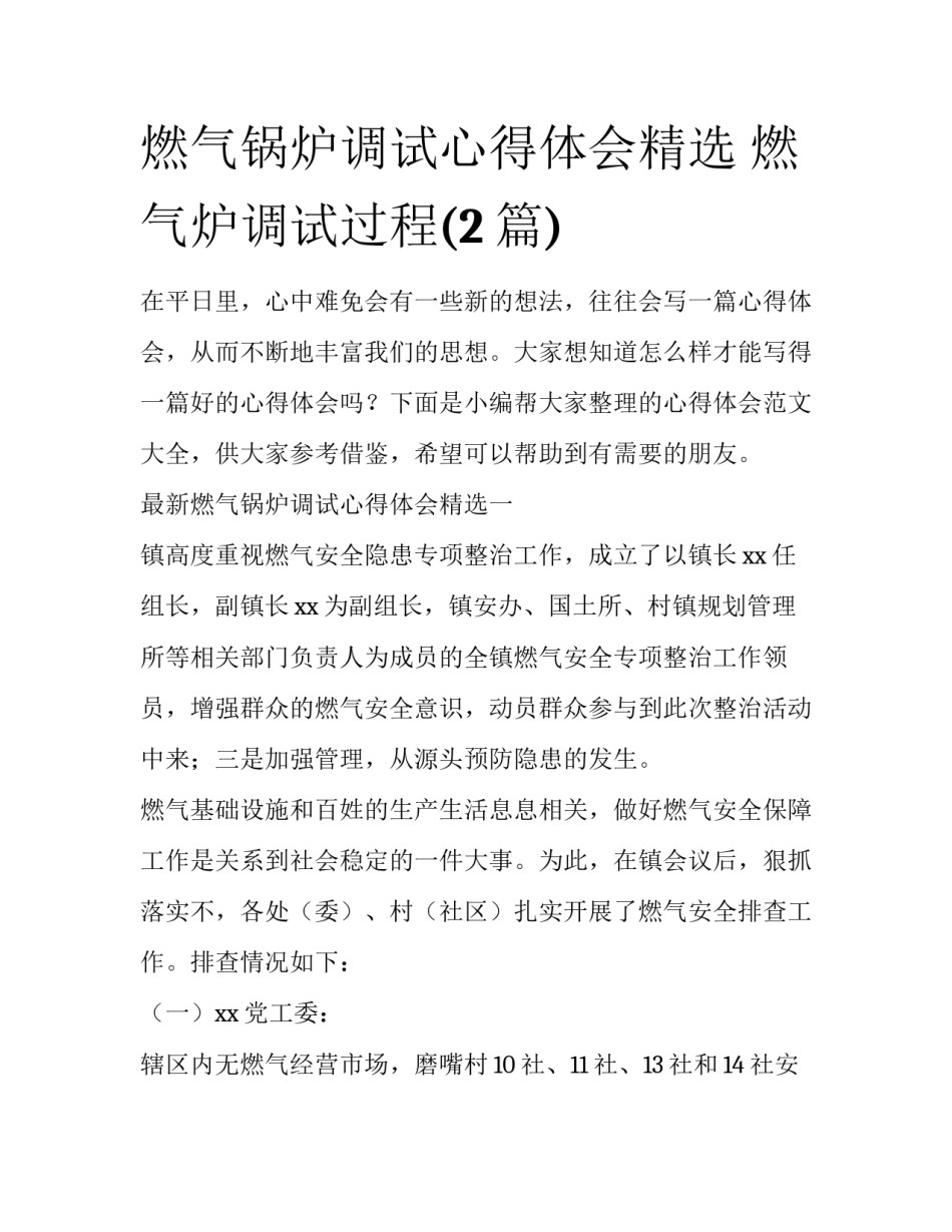 燃气锅炉调试心得体会精选 燃气炉调试过程(2篇)_第1页