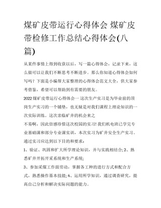 煤矿皮带运行心得体会 煤矿皮带检修工作总结心得体会(八篇)