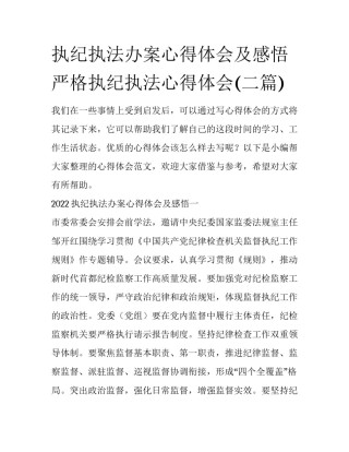 执纪执法办案心得体会及感悟 严格执纪执法心得体会(二篇)