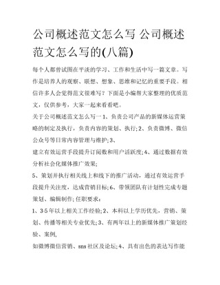 公司概述范文怎么写 公司概述范文怎么写的(八篇)
